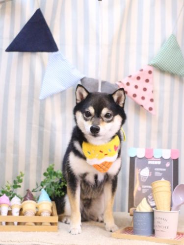 20250508ふうくん